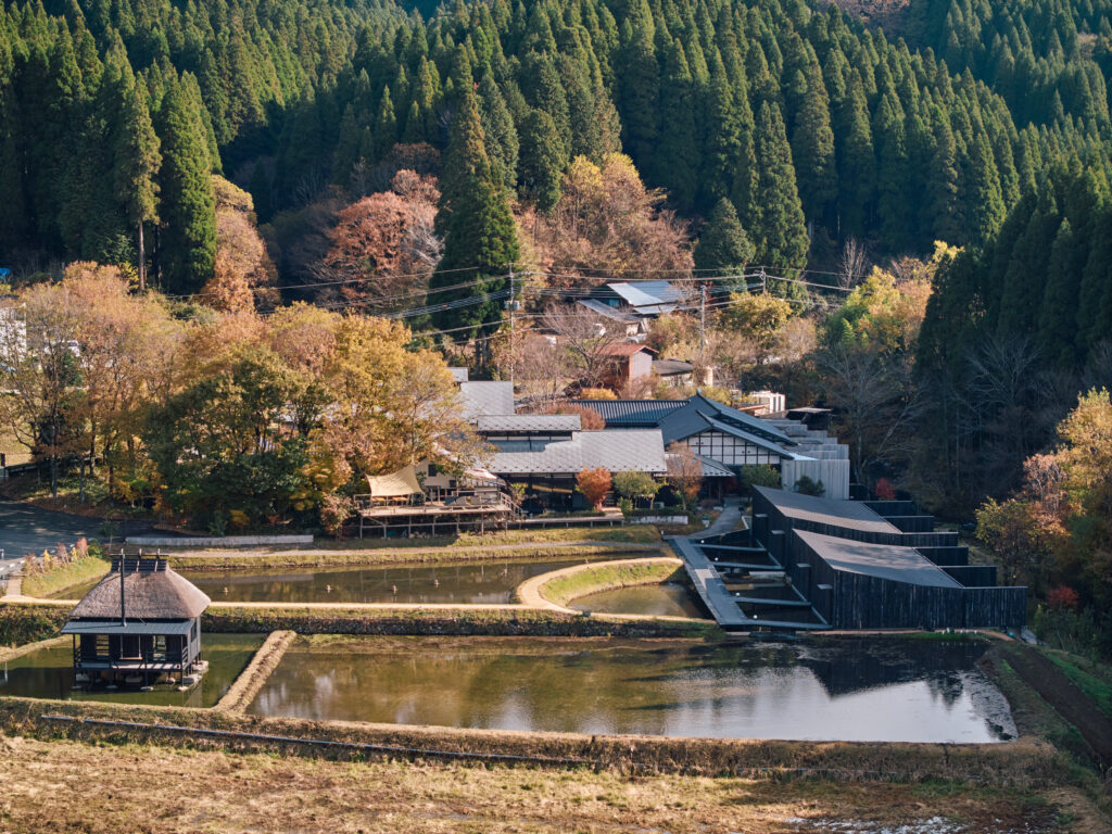 テレビ番組「LIFE～夢のカタチ～」にて藤のやが放送されました。